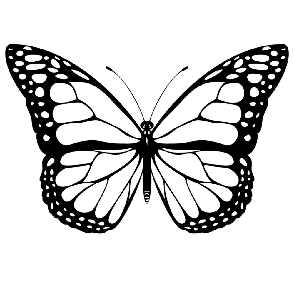 Meet your Posher, River